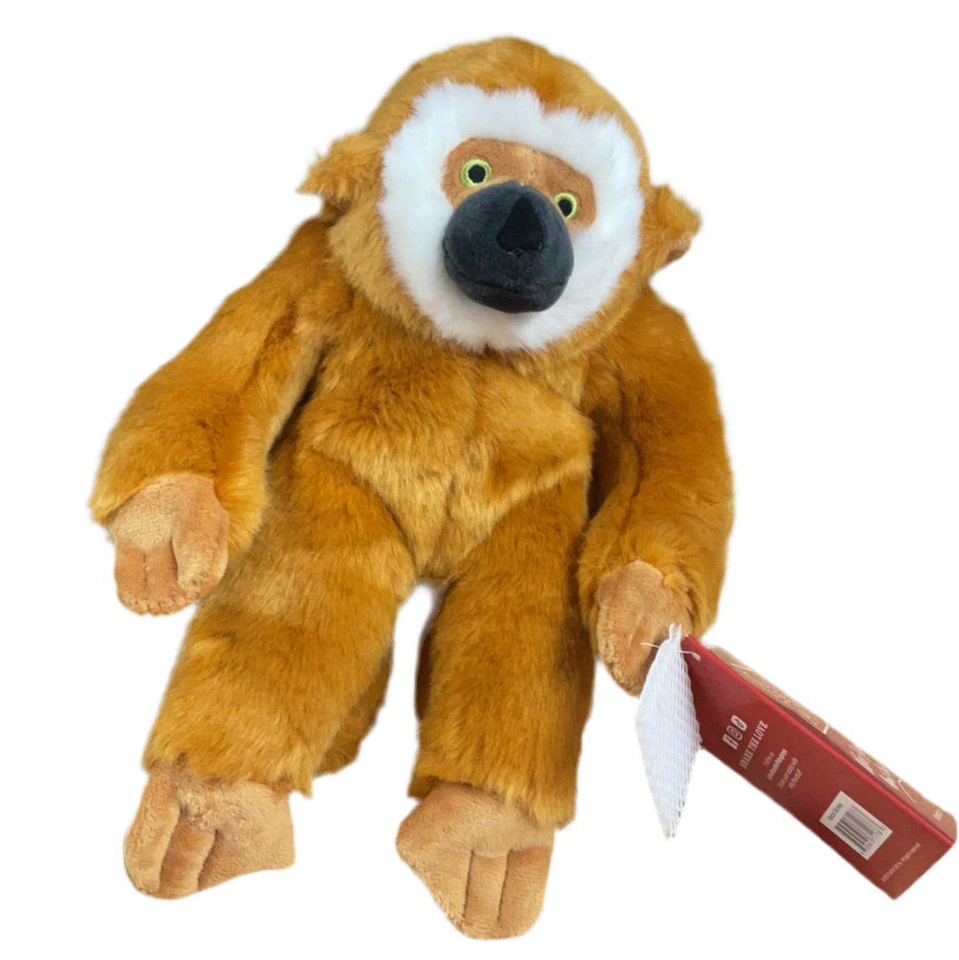 Marcel Monkey