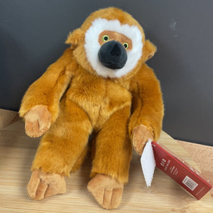 Marcel Monkey