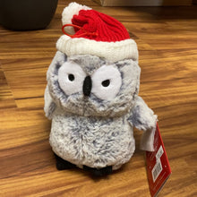 Load image into Gallery viewer, Frosty Owl
