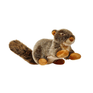 Nuts Squirrel