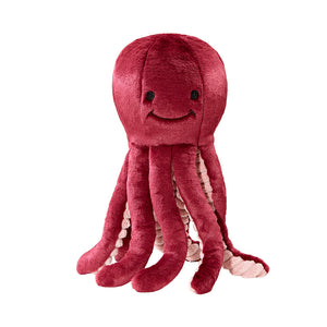 Olympia Octopus