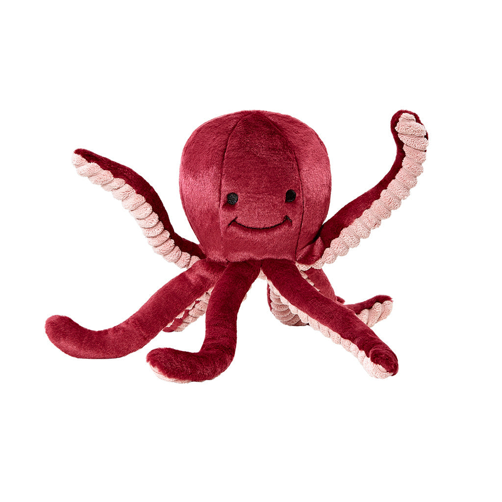 Olympia Octopus