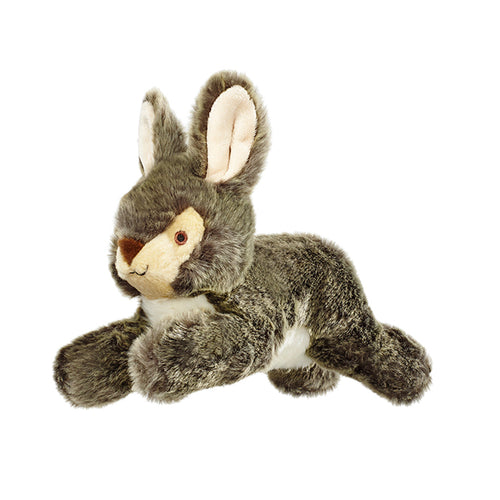 Walter Wabbit plush dog toy