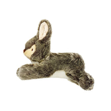 Load image into Gallery viewer, Walter Wabbit plush dog toy
