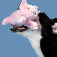 Load image into Gallery viewer, Petey the Pig
