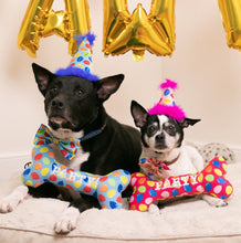 Load image into Gallery viewer, Huxley and Kent Birthday Hats
