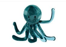 Load image into Gallery viewer, Stevie Octopus
