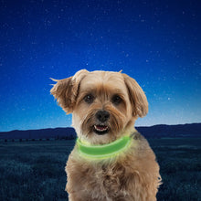 Load image into Gallery viewer, NiteDog Rechargeable LED Collars
