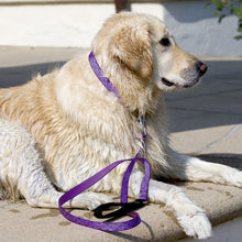 Load image into Gallery viewer, Lupine 3/4&quot; Wide Dog Leashes
