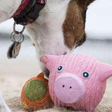 Load image into Gallery viewer, Hamlet Pig Ruff-Tex Ball
