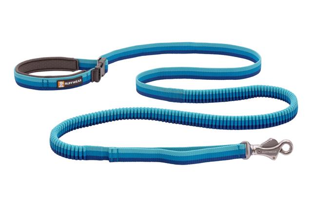 Roamer Leash