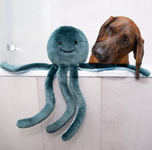 Load image into Gallery viewer, Stevie Octopus
