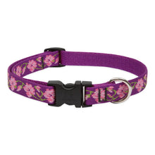 Load image into Gallery viewer, Lupine Originals 3/4&quot; Wide Collars
